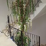 Oxygen Boutique Tirana