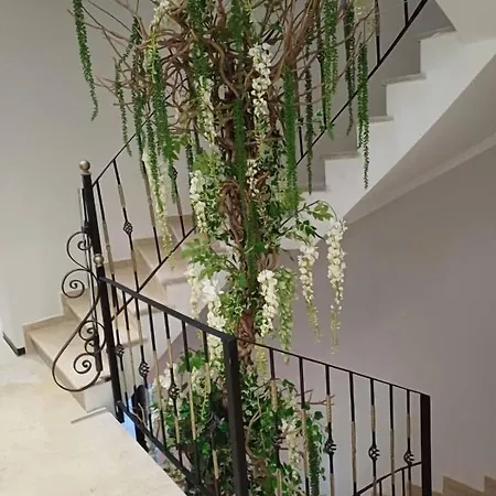 Oxygen Boutique טיראנה