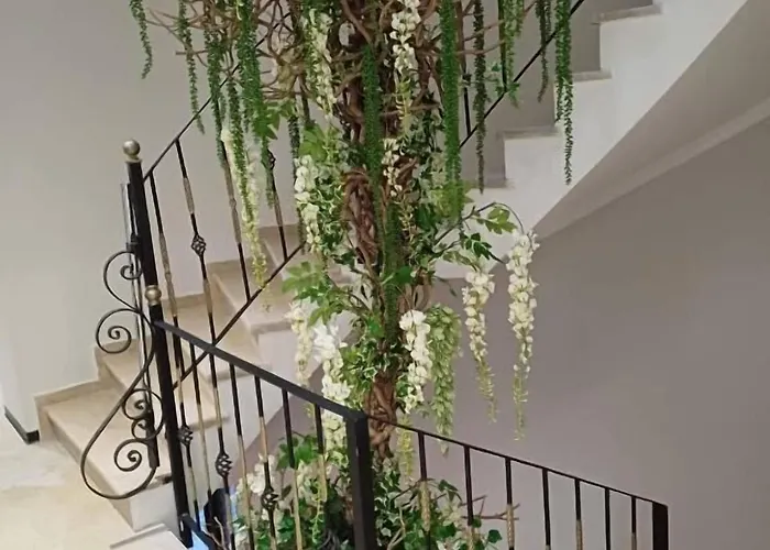 Oxygen Boutique 地拉那