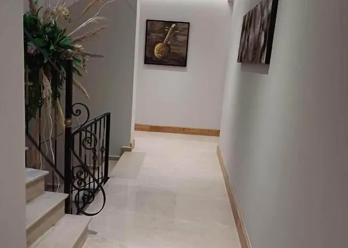 Oxygen Boutique 酒店